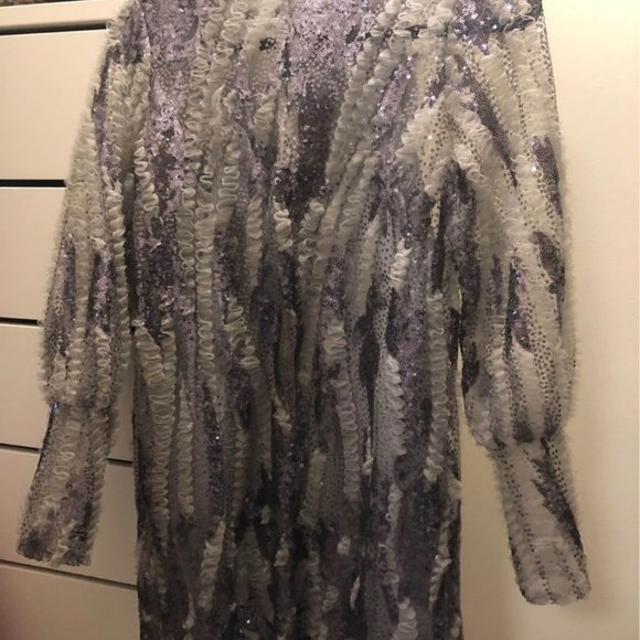 Zara Sequins New Years Party Dress - Picture 7 of 7